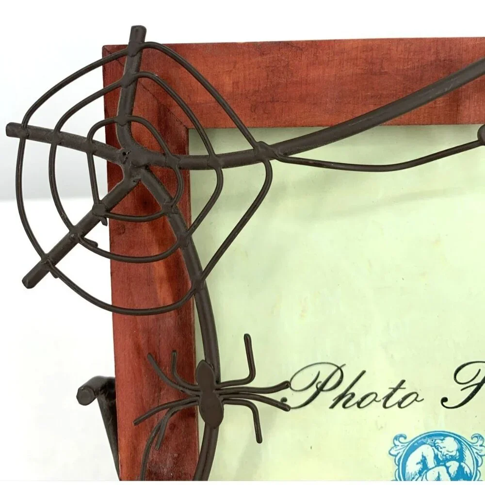 Spiders Spideweb Picture Frame 5 x 7